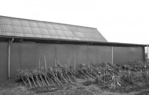Filet d'ombrage protection