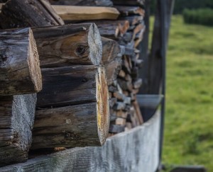 Protection du bois