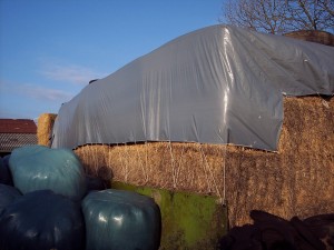 bache polyethylene protection